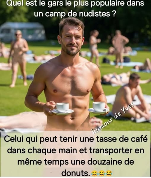 text alternatif